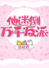 岁事当长贺晋江