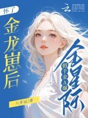 龙舞九天 txt