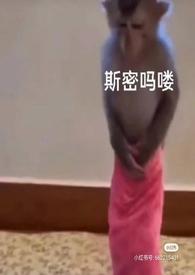 光灵行传男主身份