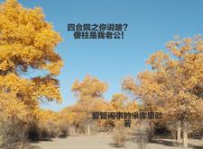 全球竞技场胜者为王