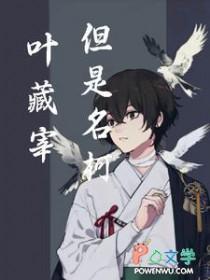 偷香高手全文免费阅读
